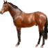 Tabela do Jogo do Bicho - Cavalo