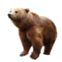 Tabela do Jogo do Bicho - Urso